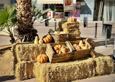 Mes de la Calabaza en Viladecans