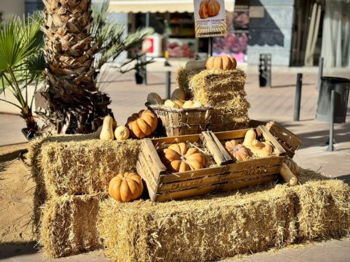 Mes de la Calabaza en Viladecans